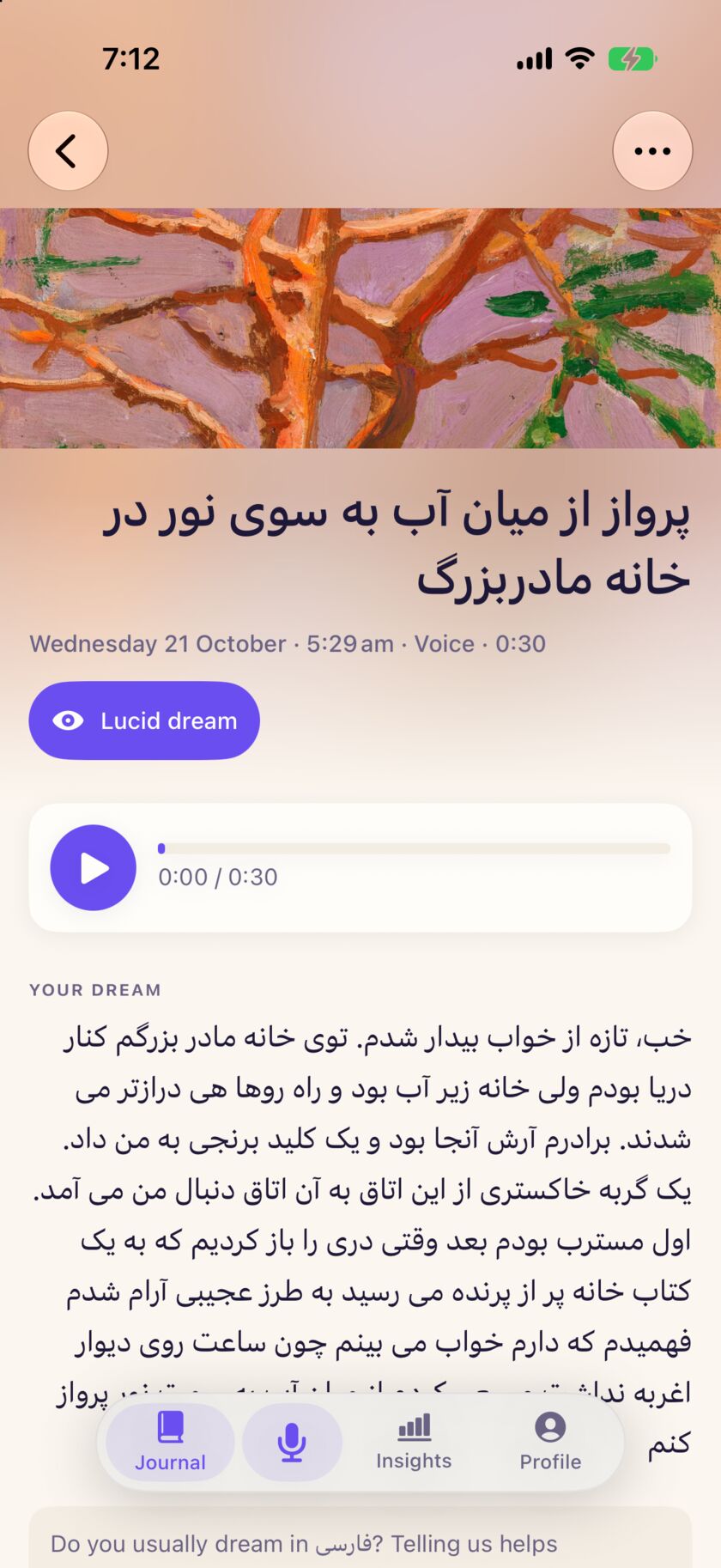 A Persian dream in Unsomnia, laid out right to left under a painting.